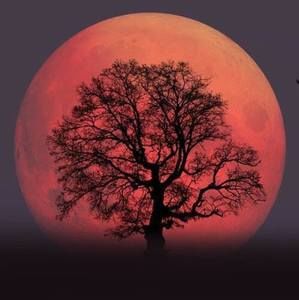 Meet your Posher, Vicki